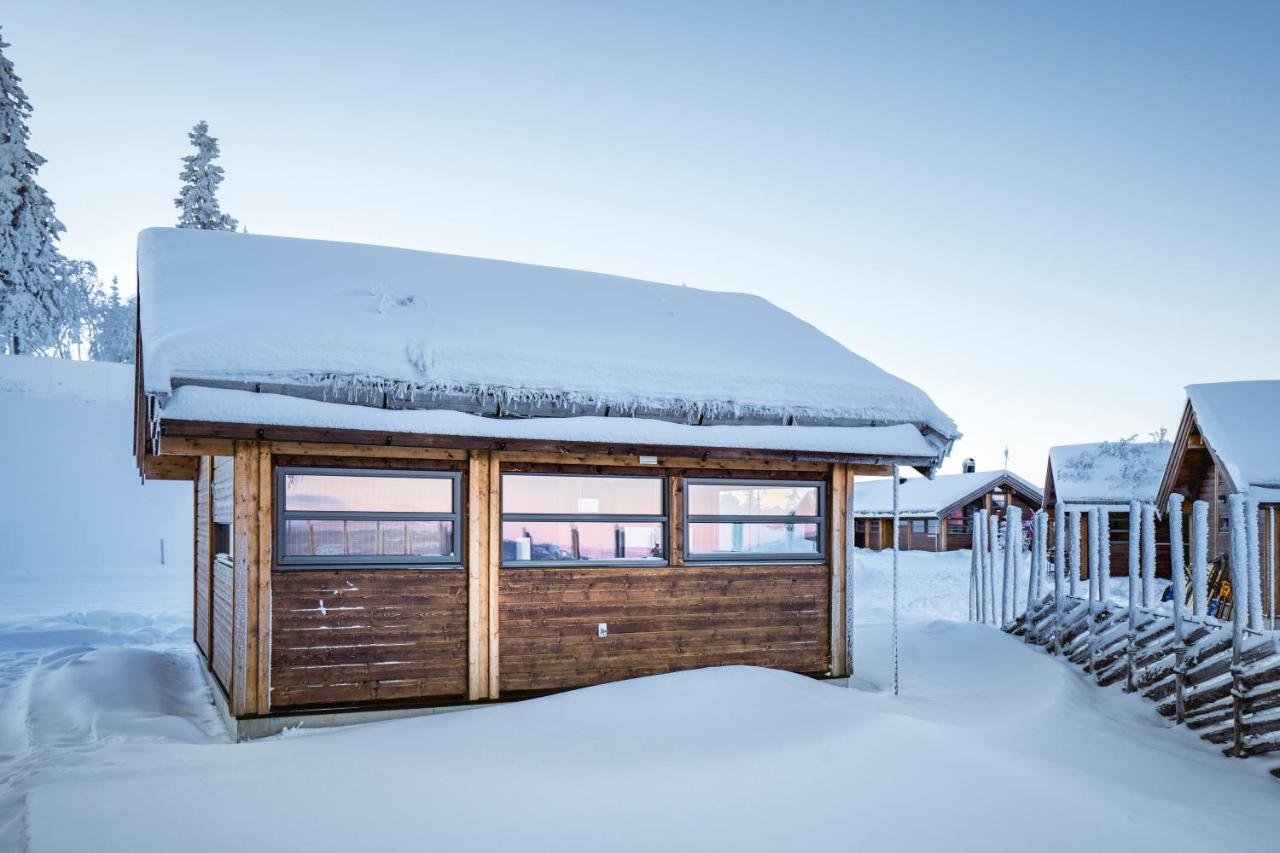 Liapark Villa Ål Eksteriør bilde