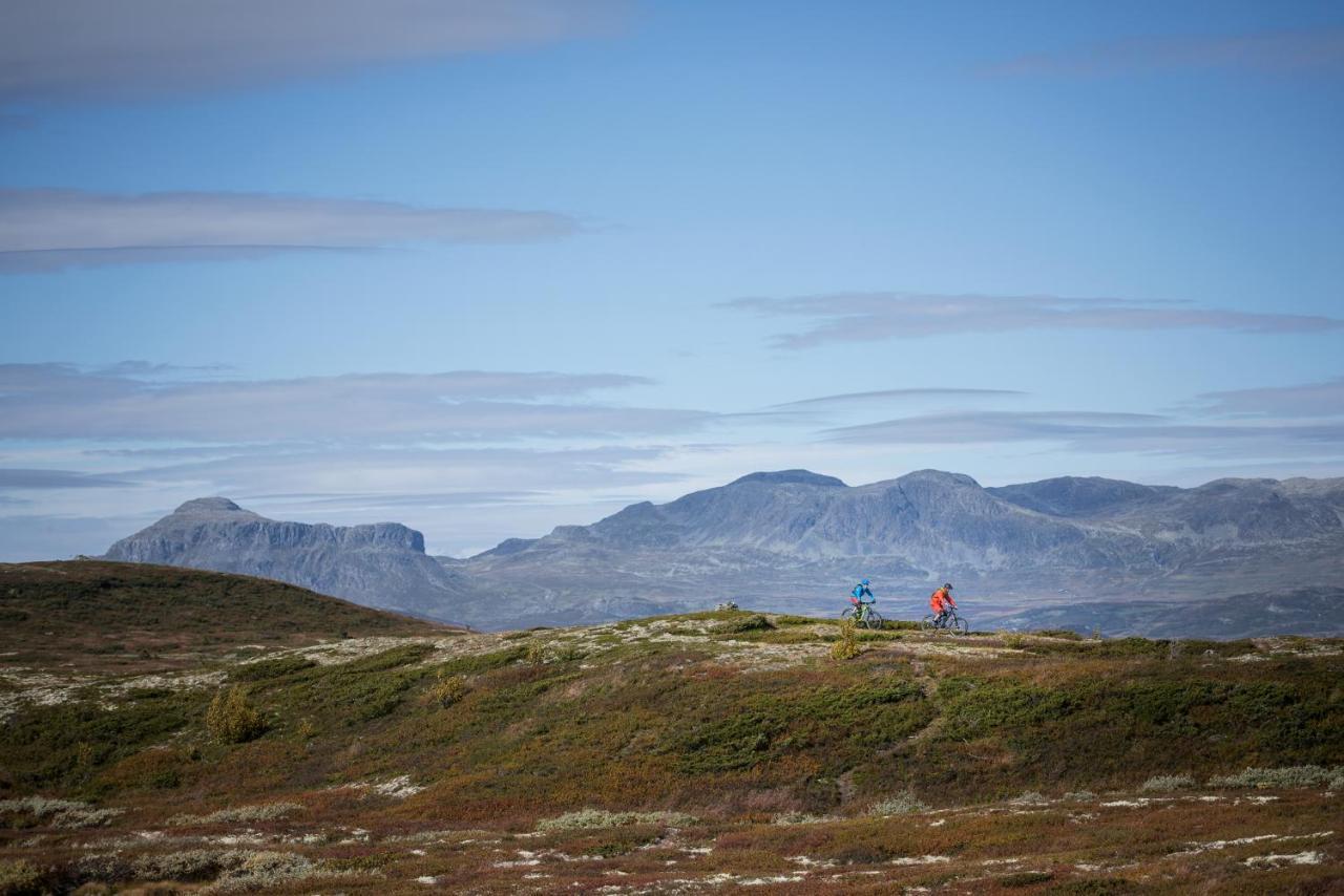 Liapark Villa Ål Eksteriør bilde