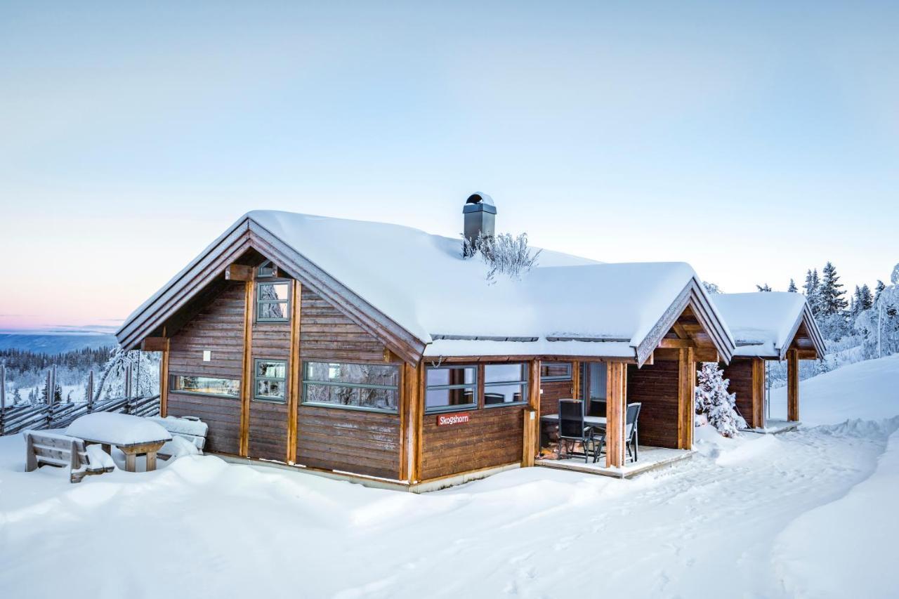 Liapark Villa Ål Eksteriør bilde