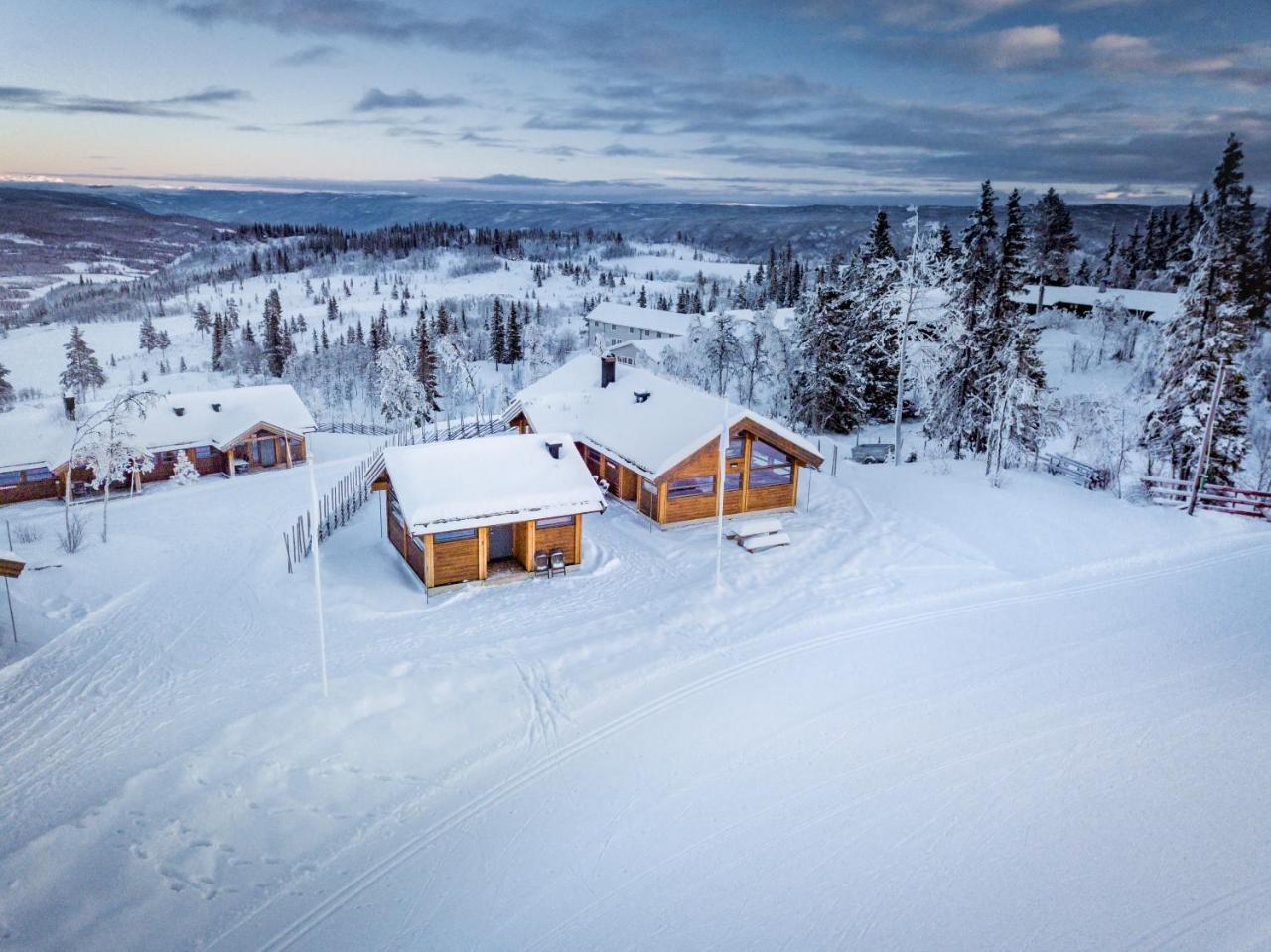 Liapark Villa Ål Eksteriør bilde