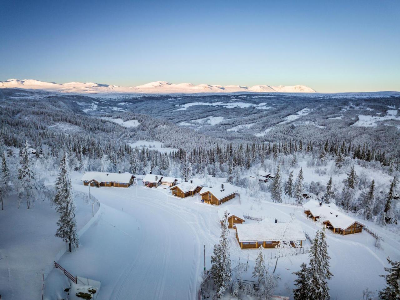 Liapark Villa Ål Eksteriør bilde