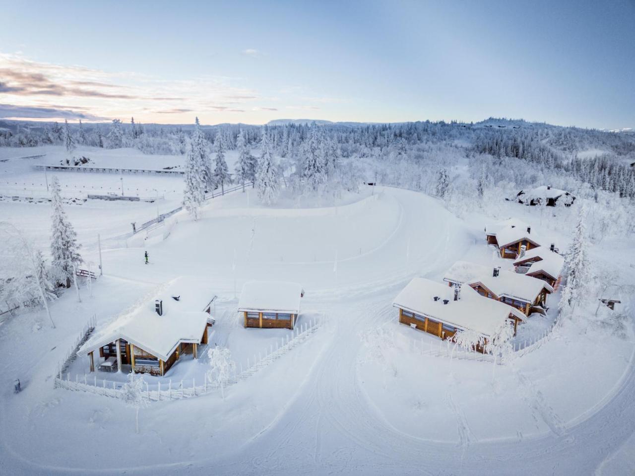 Liapark Villa Ål Eksteriør bilde