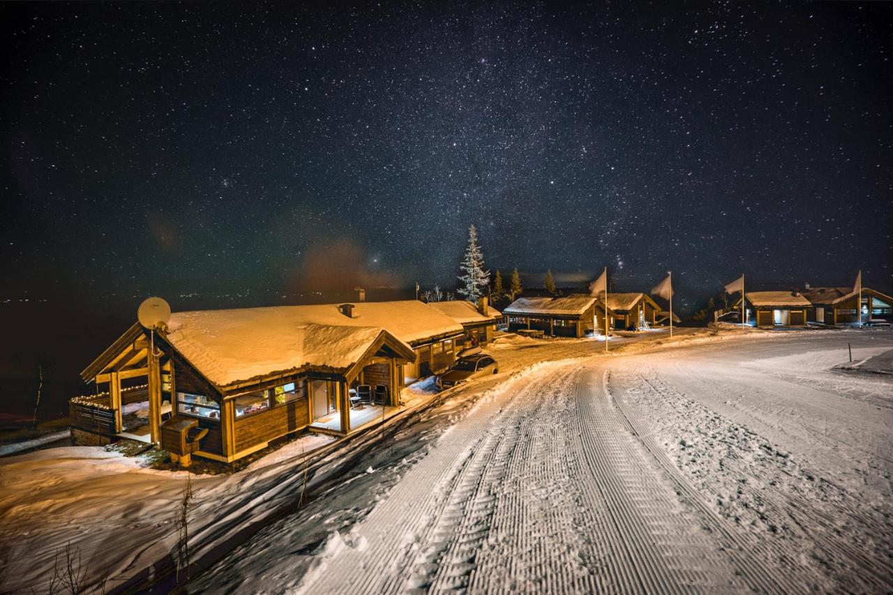 Liapark Villa Ål Eksteriør bilde