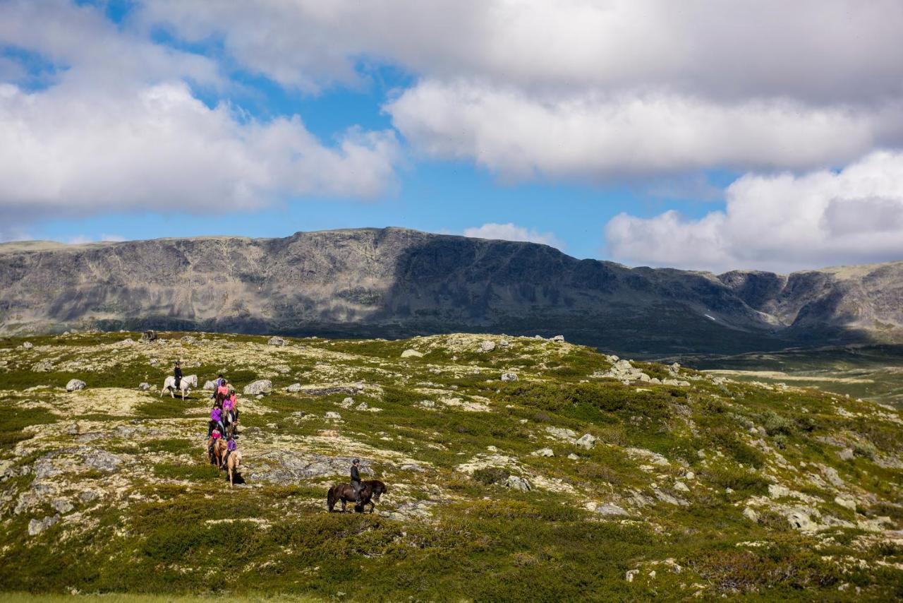 Liapark Villa Ål Eksteriør bilde